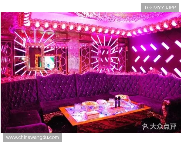 壹号娱乐:专业团队打造高品质娱乐内容,提供最优质的娱乐服务体验